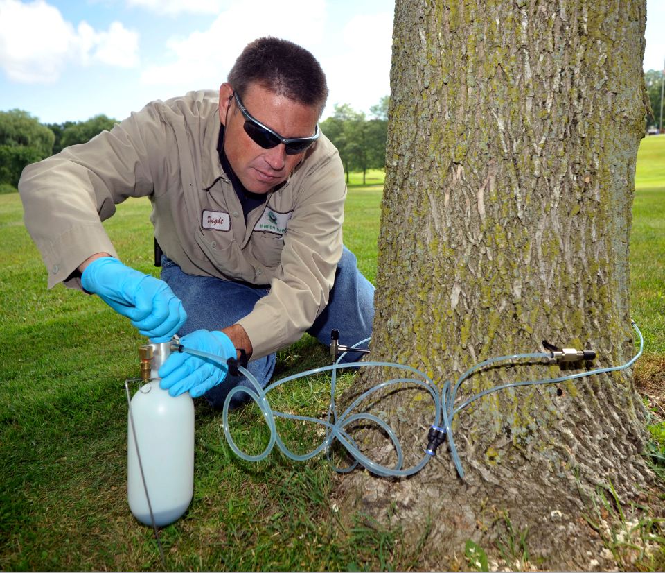 Protect Your Valuable Trees Now And In The Future By Joining The ...